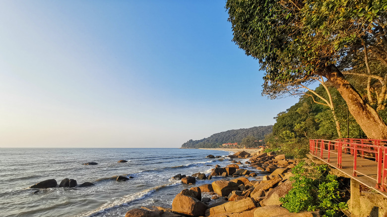 Seaview along beach, trees, and boardwalk