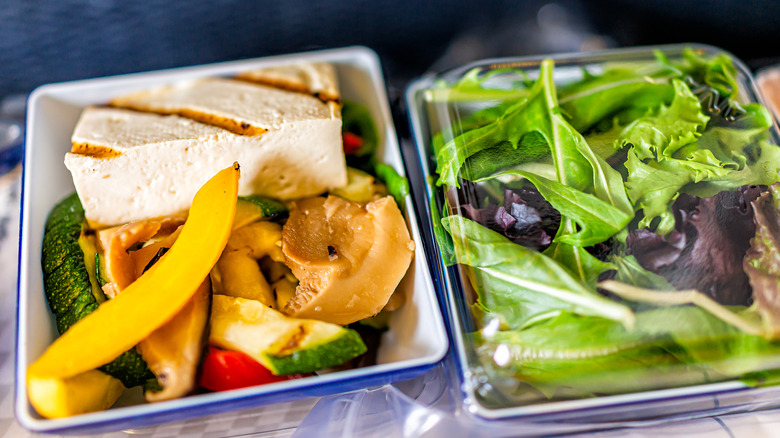 Vegan meal on an airplane