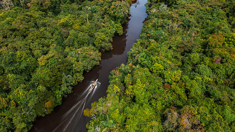 A boat crossing the rainforest of the Peruvian Amazon, on the Nanay River