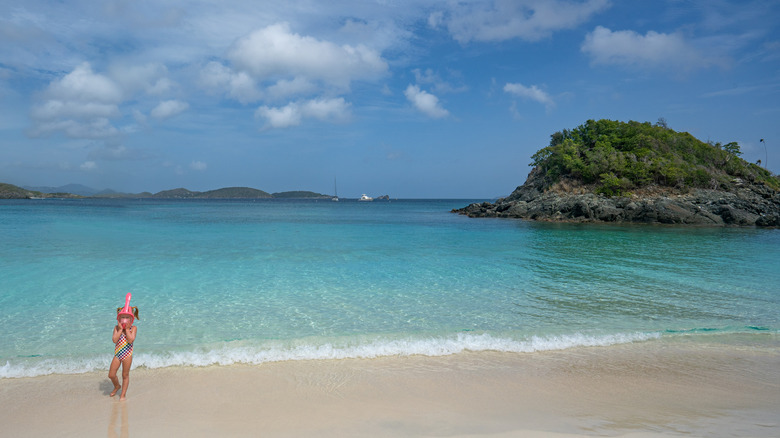 Trunk Bay St. John