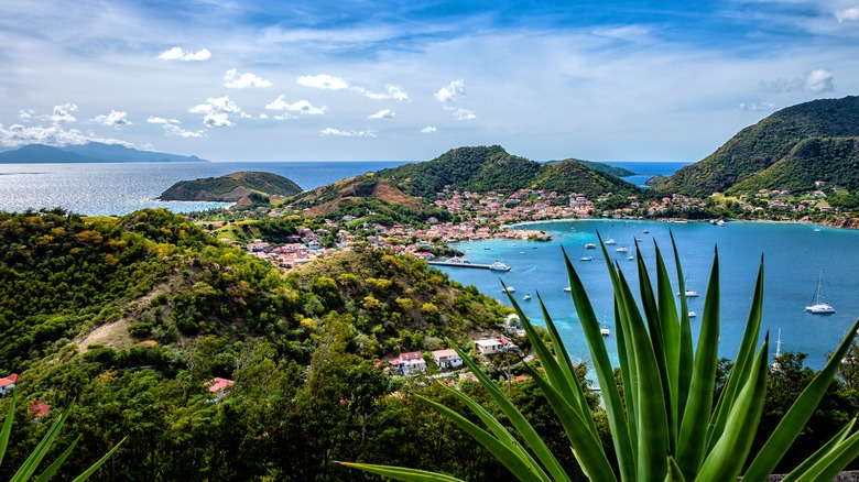 The island of Guadeloupe