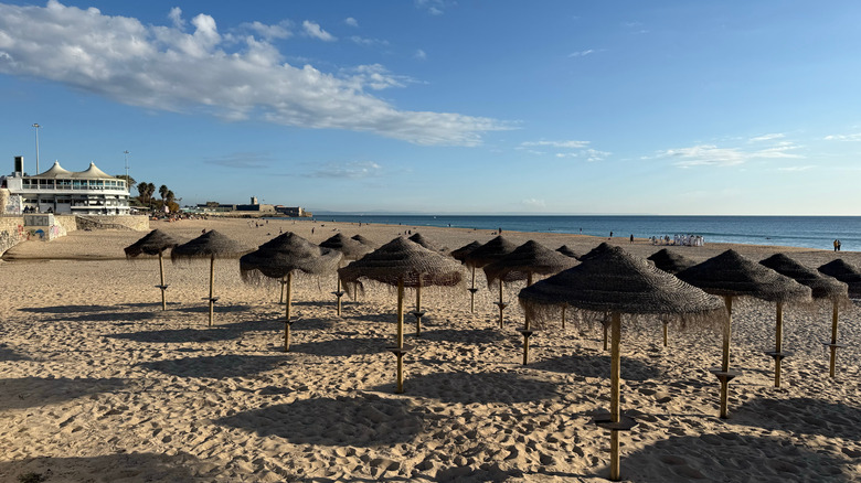 Empty beach near Lisbon with parasols