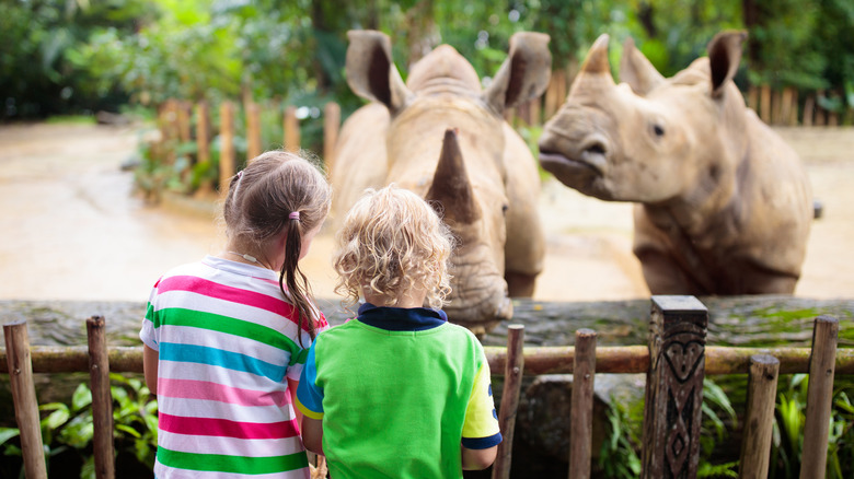 two young kids looking at rhinos in a zoo