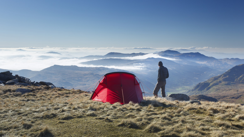 Man enjoying view near tent