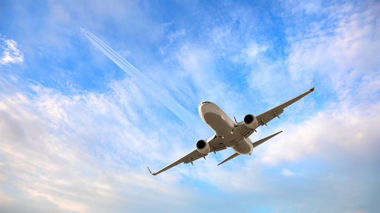 Airplane in flight