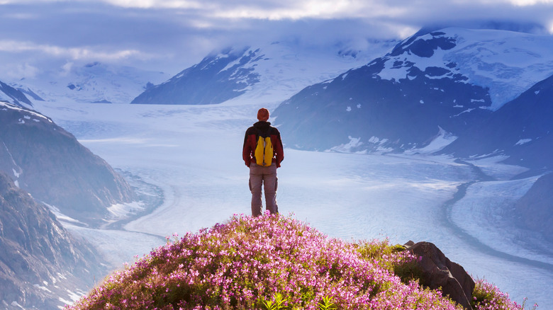 A man atop a mountain