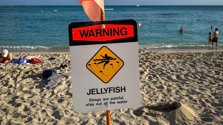 A jellyfish warning sign in Hawaii