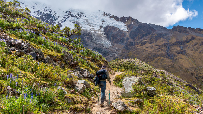 hiker on a path up a mountain