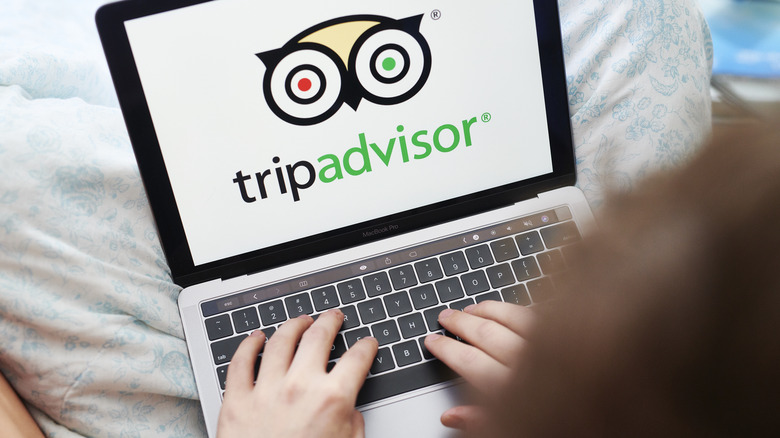Person on Tripadvisor