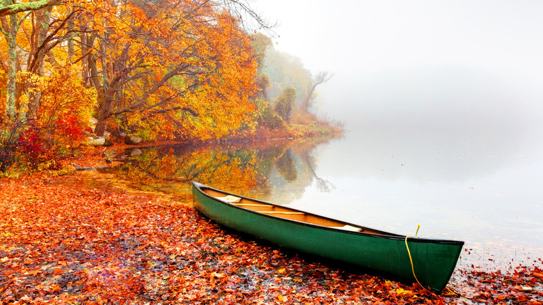 Boat at Cape Cod in the fall