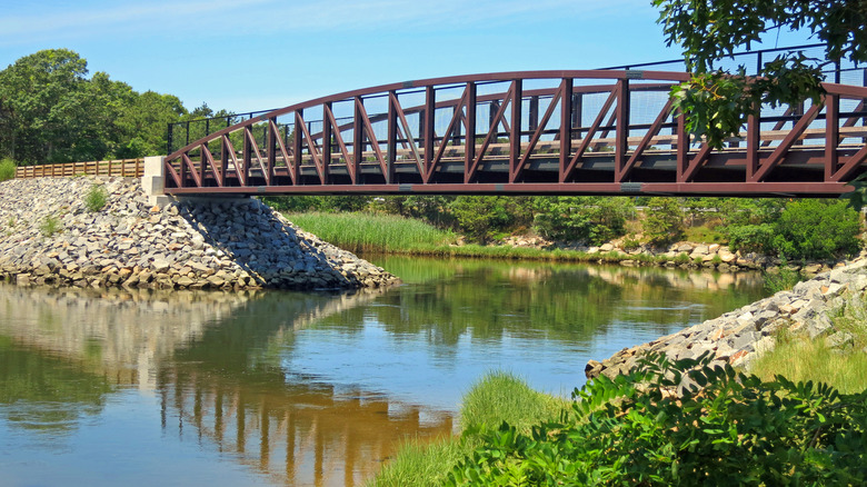 The Cape Cod Rail Trail