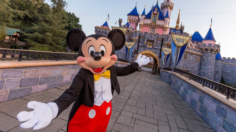 Mickey Mouse, Sleeping Beauty Castle