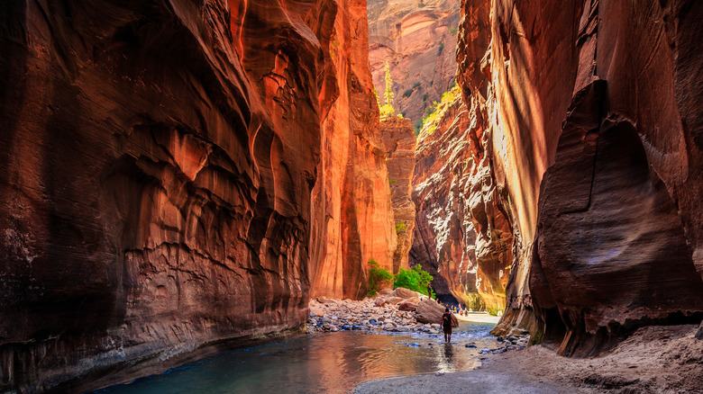 Hiker passing through canyon 