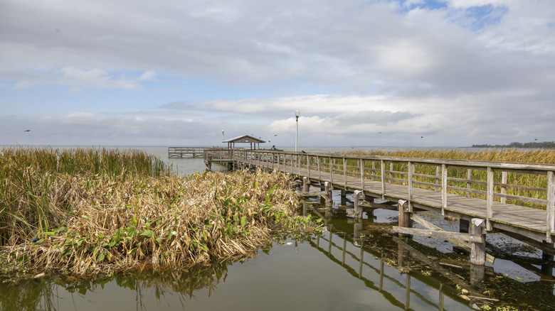 Wooden boardwalk over a brackish lake with sawgrass popping out