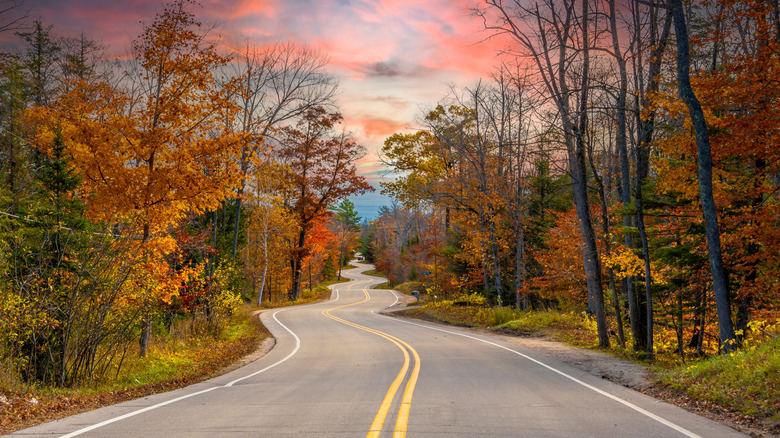 Iconic Door County photo of a road curving back and forth into the distance surrounded by fall trees