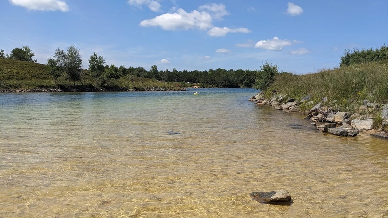 shallow, clear water surrounded by grassy shoreline