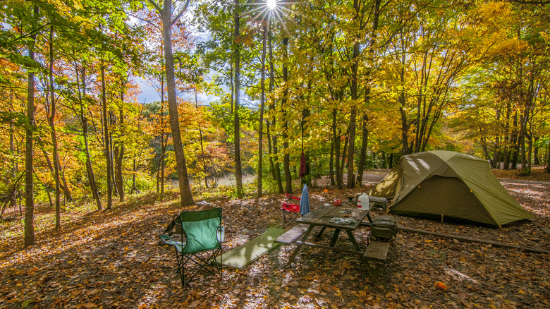 A tenting campsite in early fall with all the leaves changing color