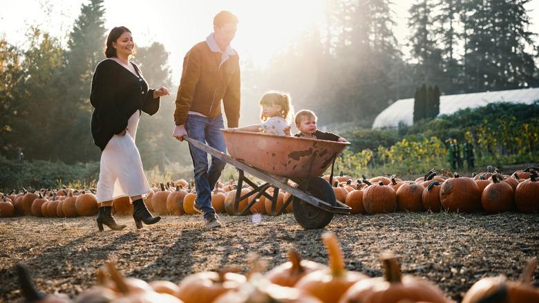 A couple with their children in a wheelbarrow at a pumpkin farm