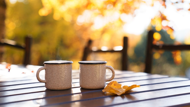 Fall camping