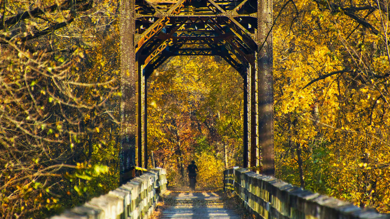 A cyclist passing through an old railroad trestle among yellow trees in Trempealeau, Wisconsin.