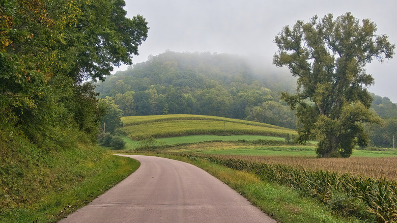 Rolling hills along a quiet road in rural Trempealeau, Wisconsin.