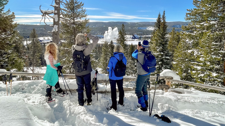 four older people snowshoeing in Yellowstone on a sunny winter.