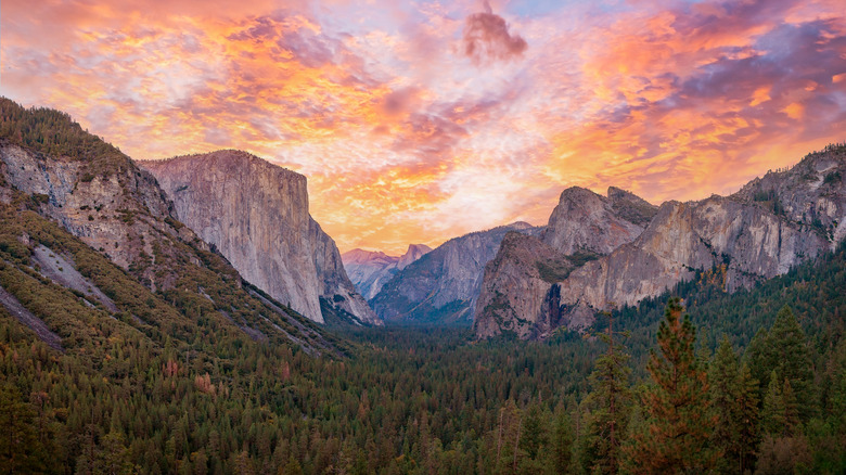 Yosemite sunset 