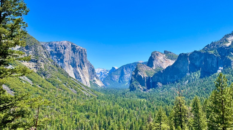 view of Yosemite Valley trees and cliffs from overlook