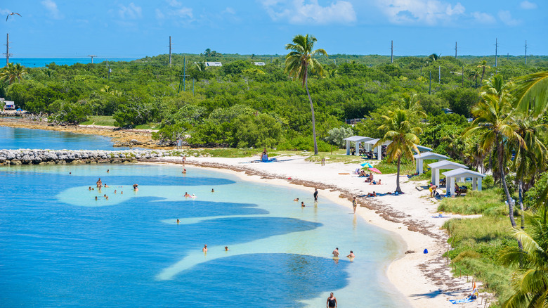 People at Calusa Beach