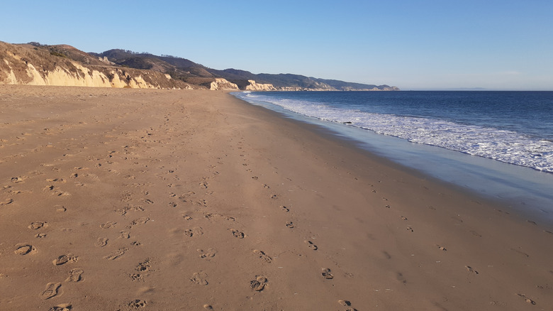 Limantour Beach in Point Reyes, California