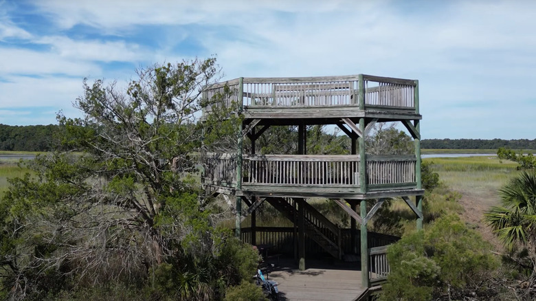 View of the park observation deck