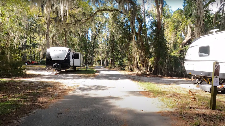 RVs under Spanish Moss at Skidaway