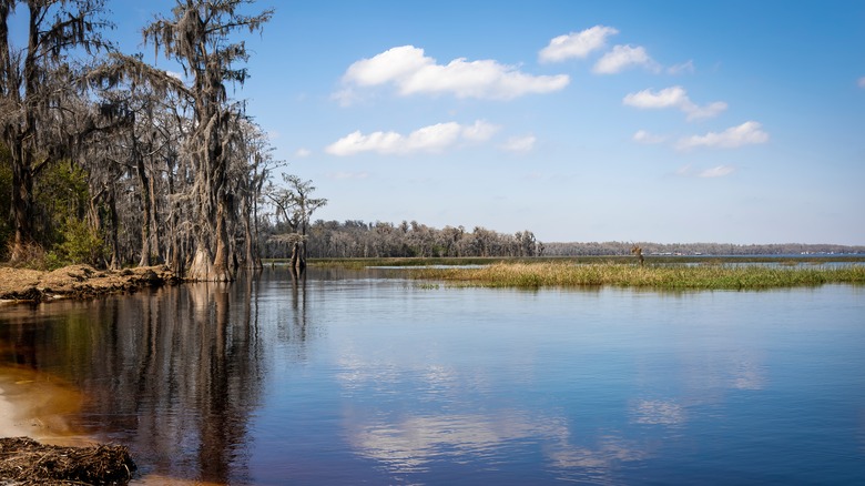 Lake Louisa