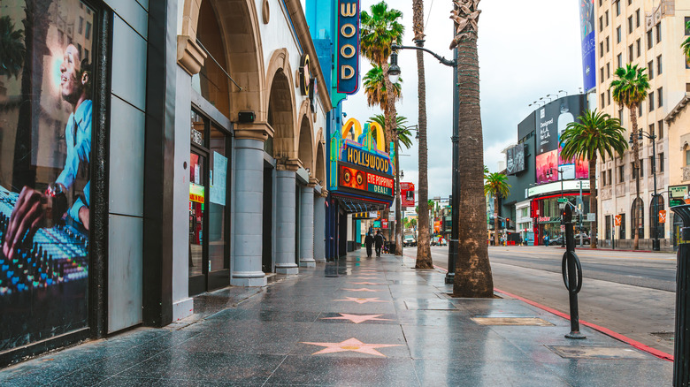 Stars on the Hollywood Walk of Fame