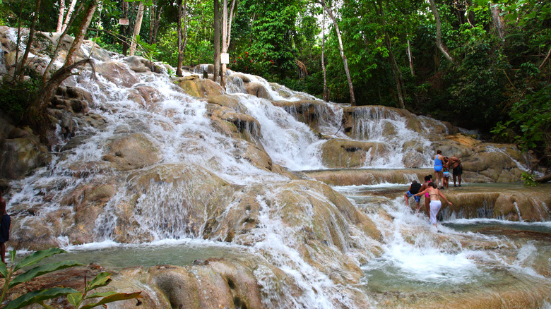 people at dunn's river falls