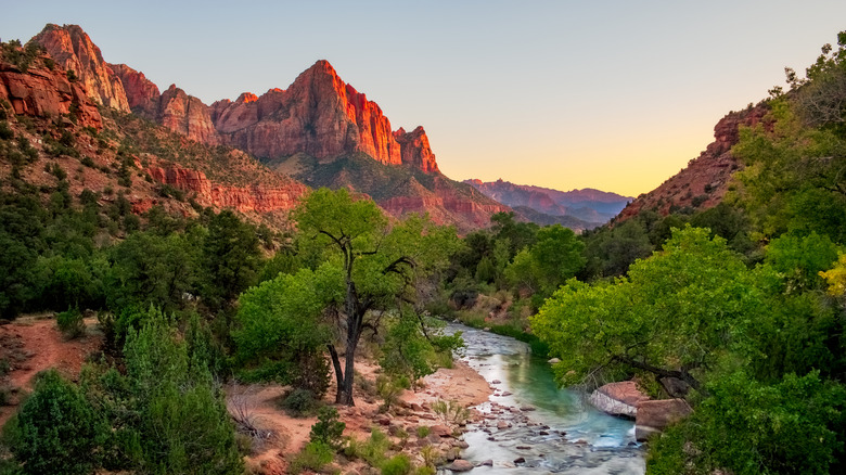 Trees and a stream in front of red-rock mountains at the Watchman campground at Zion National Park.